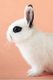 《漫威蜘蛛侠：复刻版》PC首个更新发布 修复光追崩溃